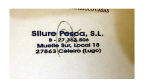 Silure Pesca